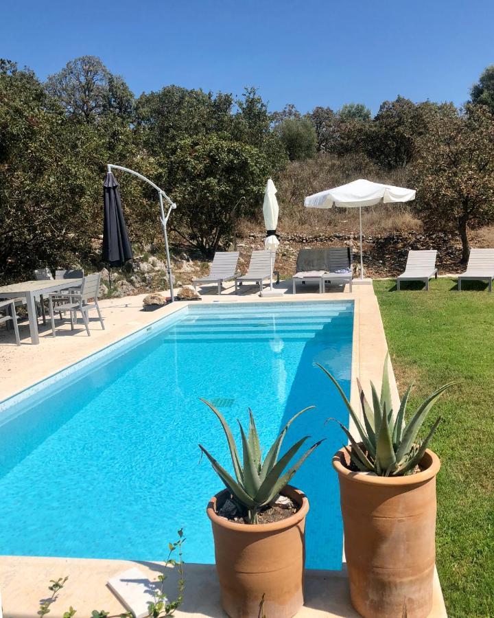 Villa Voukithro Anapaftiria